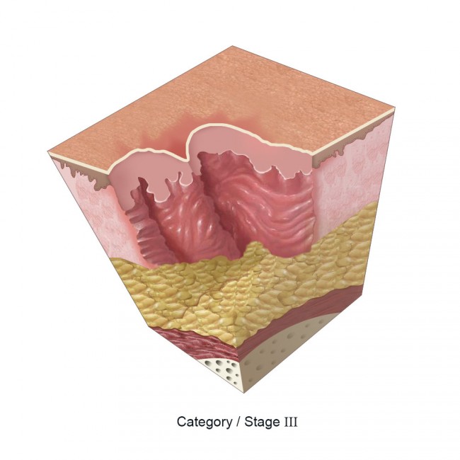 Clinical Knowledge Centre : Pegasus Healthcare