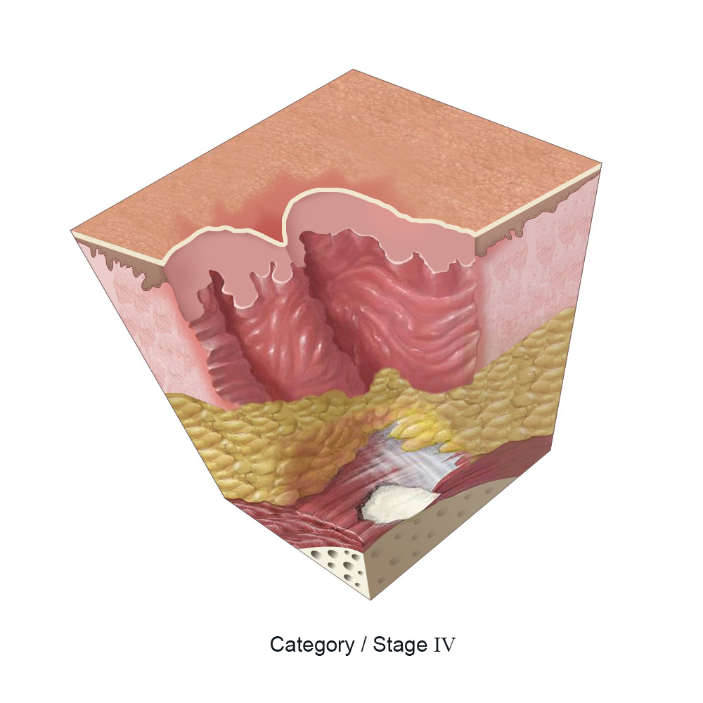 Clinical Knowledge Centre : Pegasus Healthcare